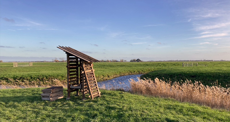 Kijken_in_de_grond_drooghuisje